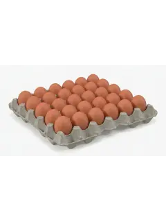 Tablettes de 30 oeufs