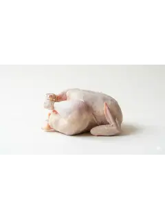 Poulet de chair 1,6 à 1,7kg